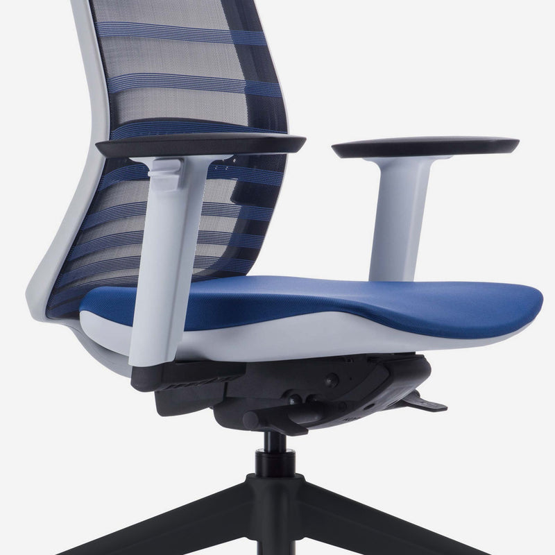 Tonique Ergonomic Office Chair