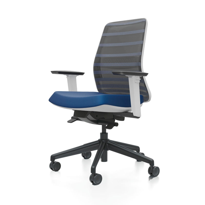 Tonique Ergonomic Office Chair