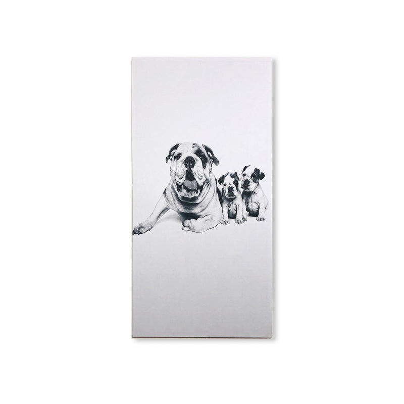 Custom Acoustic Panels
